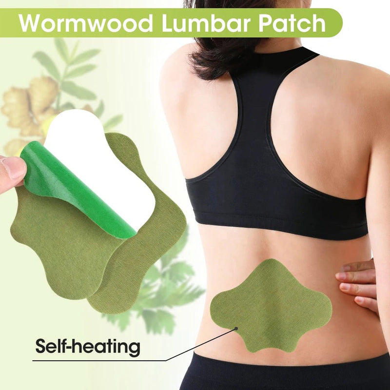 Natural Wormwood Patches – Knee, Neck, Back & Foot Pain Relief - Supersell